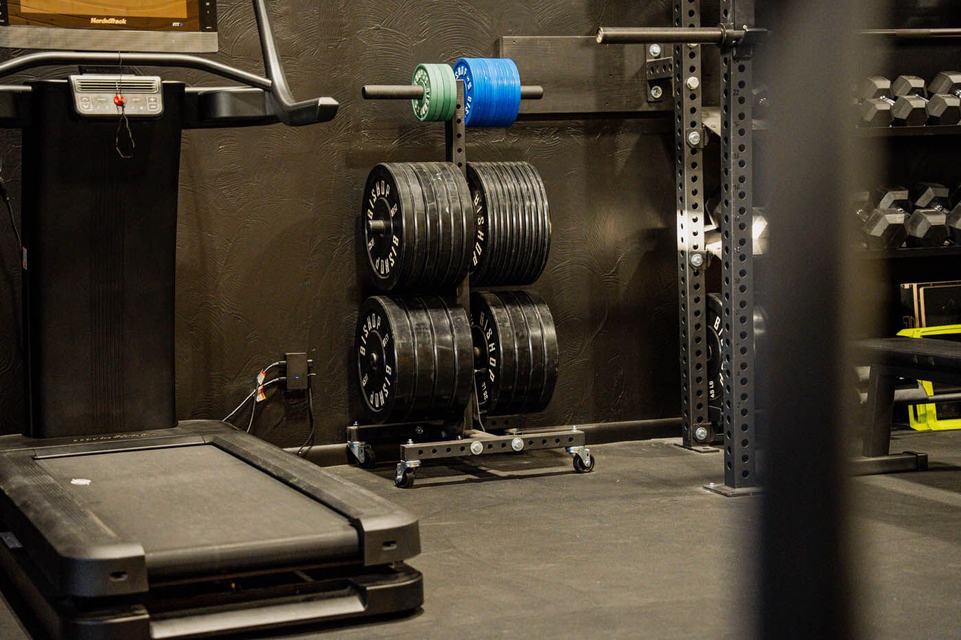 Tee Box St. George gym equipment with weights and treadmill.